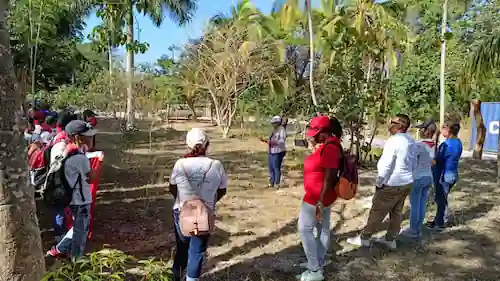 Grupo explorando la vegetación